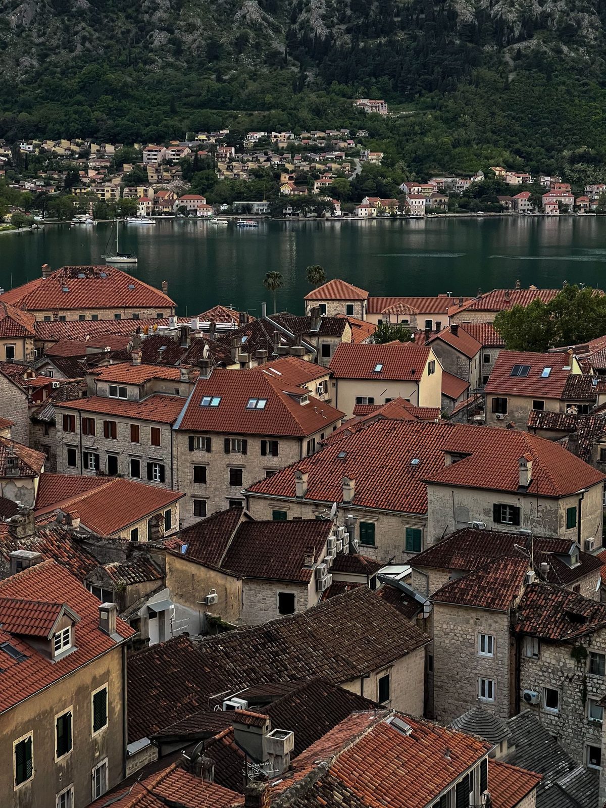 Dächer der Altstadt von Kotor, Montenegro