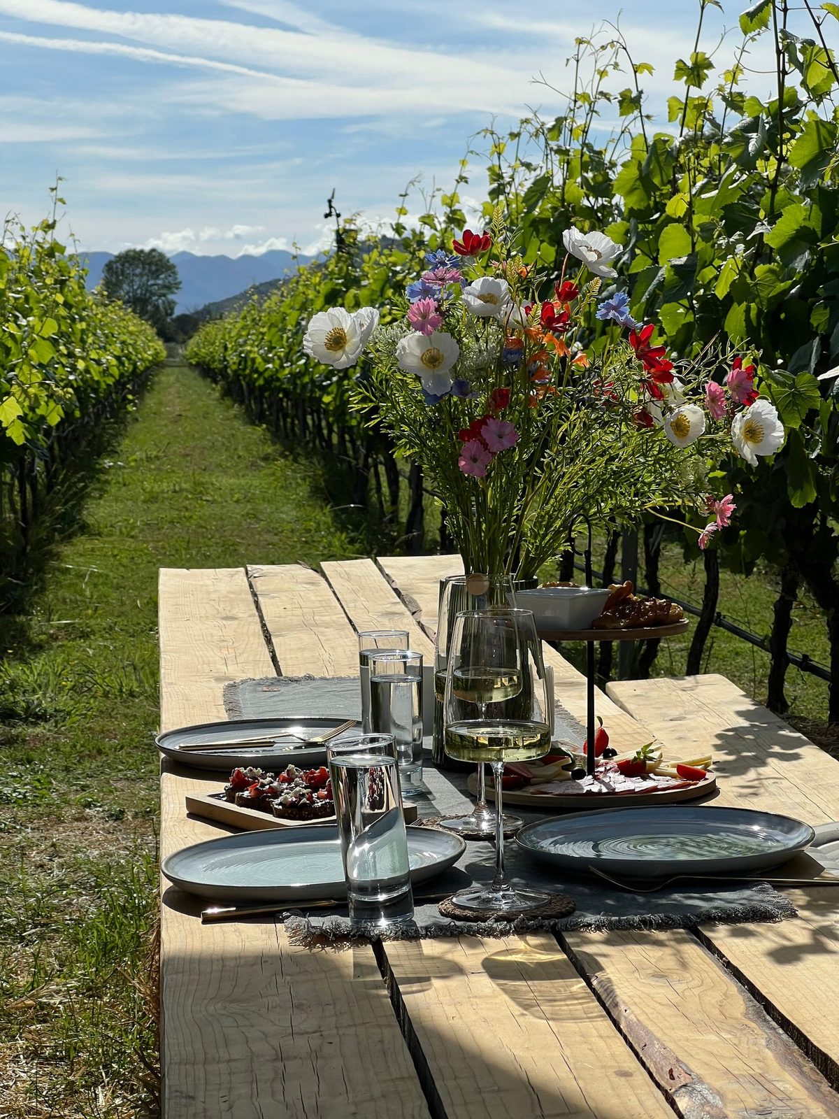 Table set among vineyard rows, Montenegro